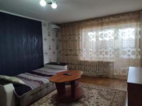 Назарбаева 206